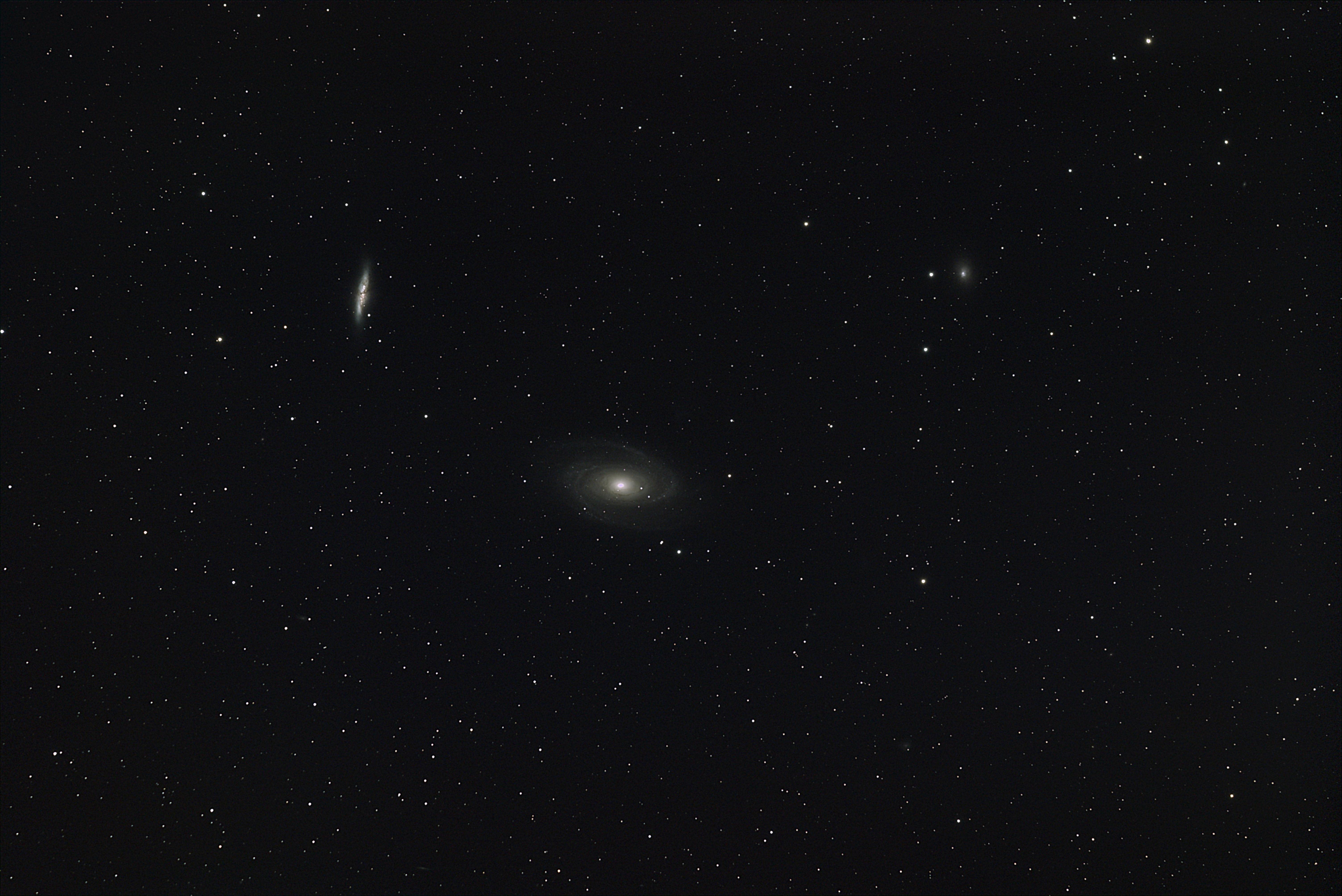 M81/82